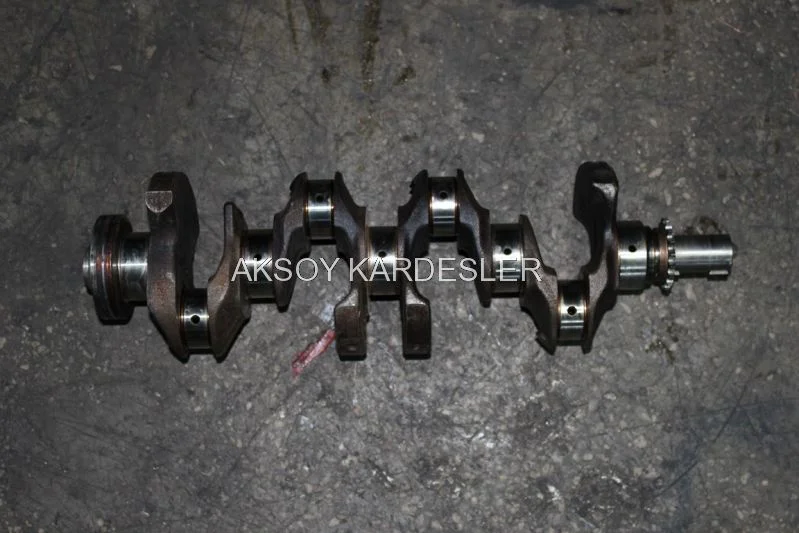 Nissan Primera Krank